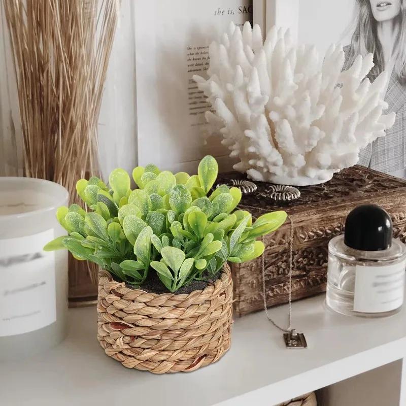 1Pc Potted Plant Small Fake Pl - đánh giá và giá Badminton Live