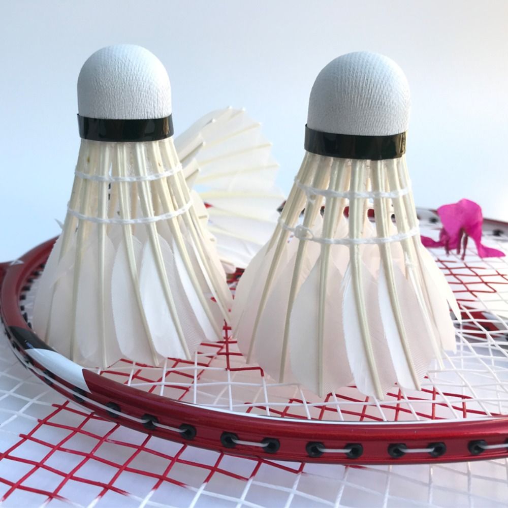 3/6/12Pcs New White Badminton  - đánh giá và giá Badminton Bwf