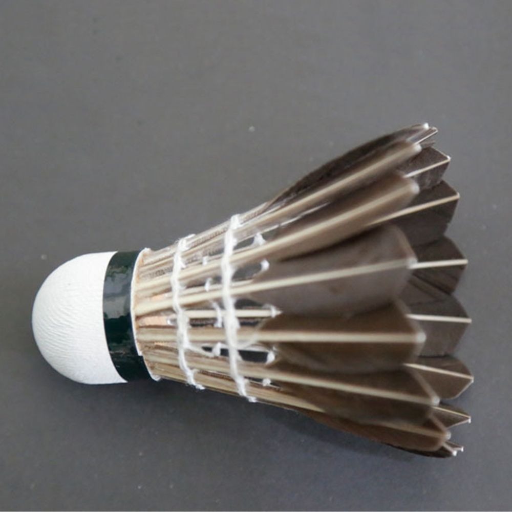 3/6/12Pcs Accessories Stable S - đánh giá và giá Badminton Bwf