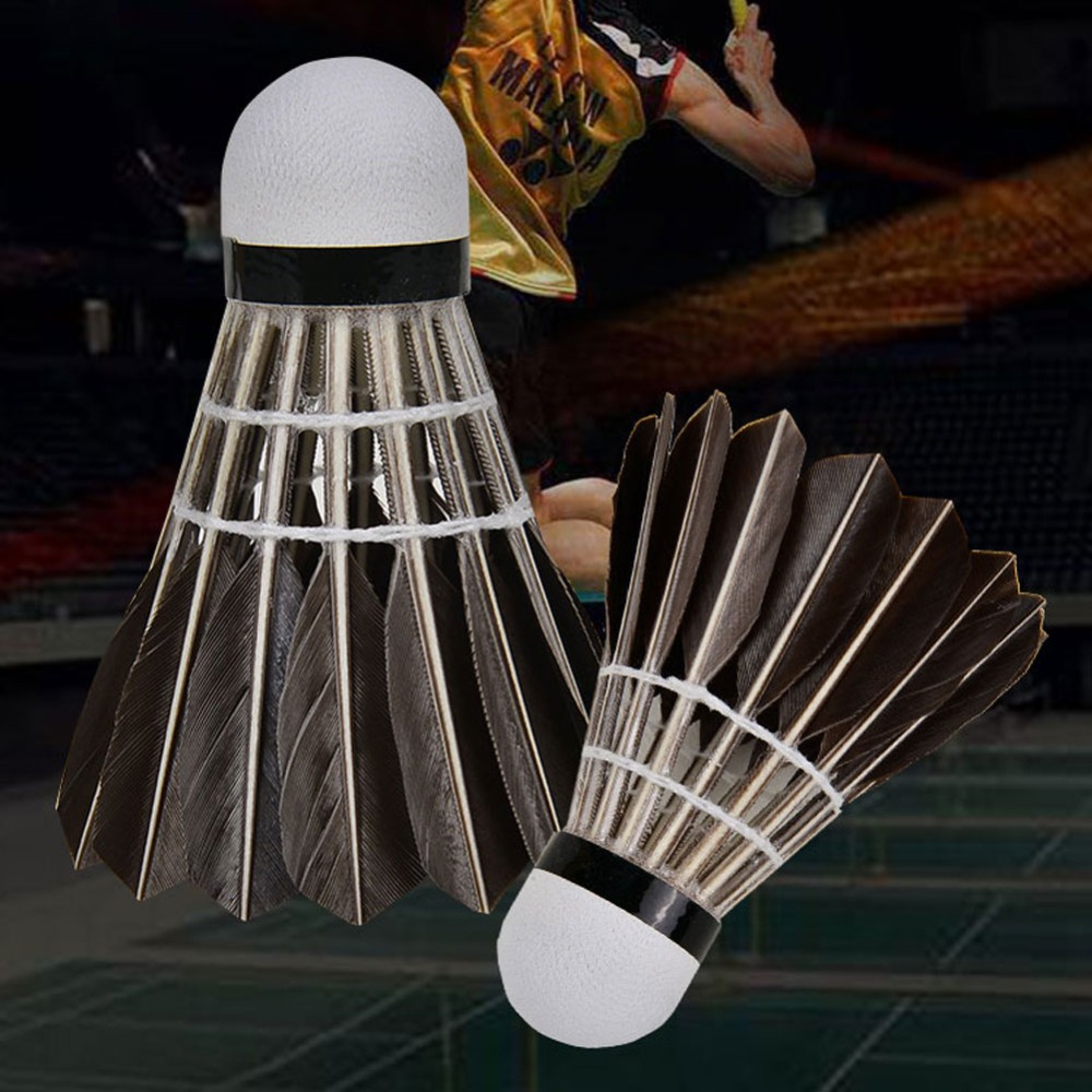 3/6/12Pcs Accessories Stable S - đánh giá và giá Badminton Bwf