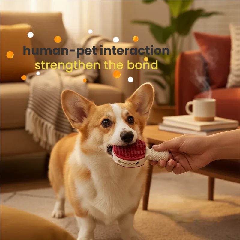 Dog Toy Badminton Ball, Unbrea - đánh giá và giá Badminton Bwf